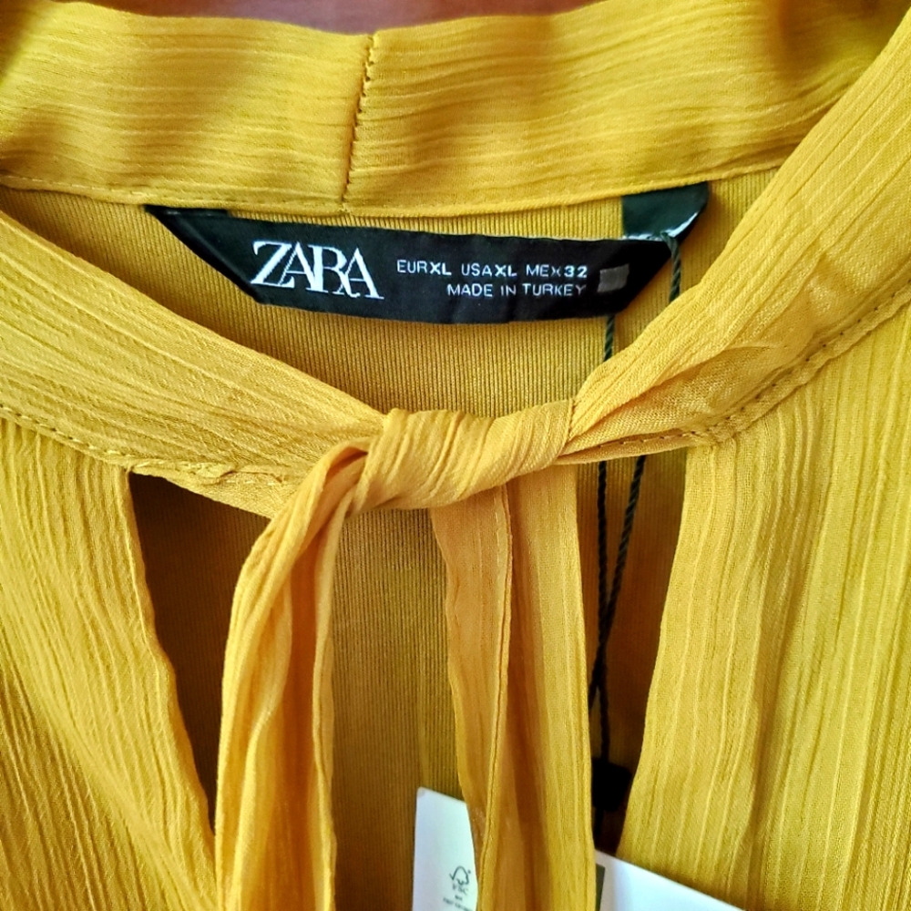 Zara dress